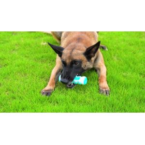 Pet Toy Molar Stick Bite Resistant With Rope Bones Dog Toothbrush Dog Toy