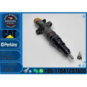Caterpillar C7 Engine Fuel Injector 328-2584 295-1409 243-4503 10R-4762 269-1839