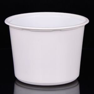 Snack Disposable Food Containers Restaurant Disposable Plastic Square Customized