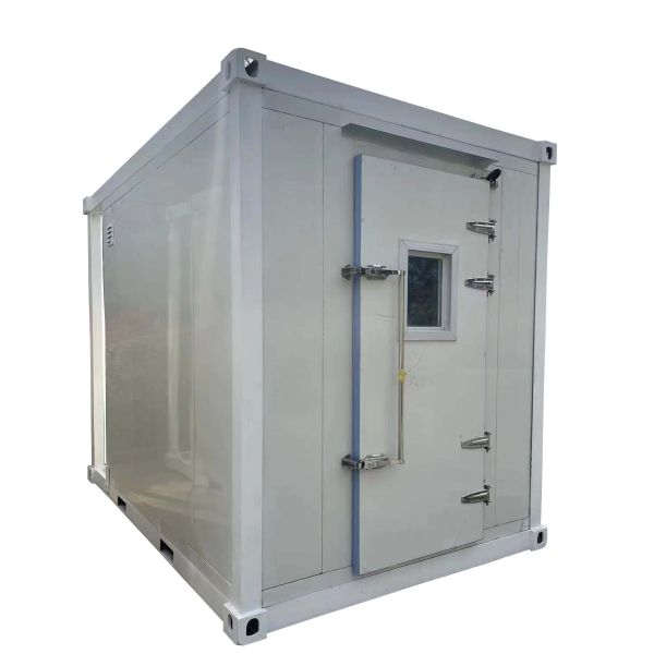 Electric Cargo Tricycle 60V 1000W Power Open/Closed Body Types 400kg Ice Cream Display Box for Delivery Business