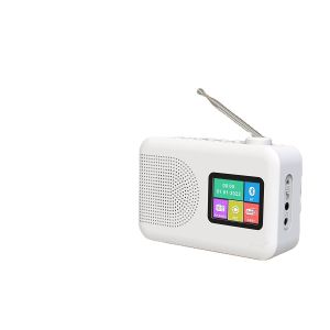 BT 5.0 Portable DAB FM Bluetooth Radio Dab Small Radio With Built In Speakers