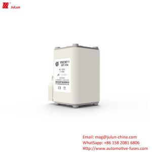 China 315A AC1000V Rail Transit Ships Industry Electric Vehicle Fuse on sale