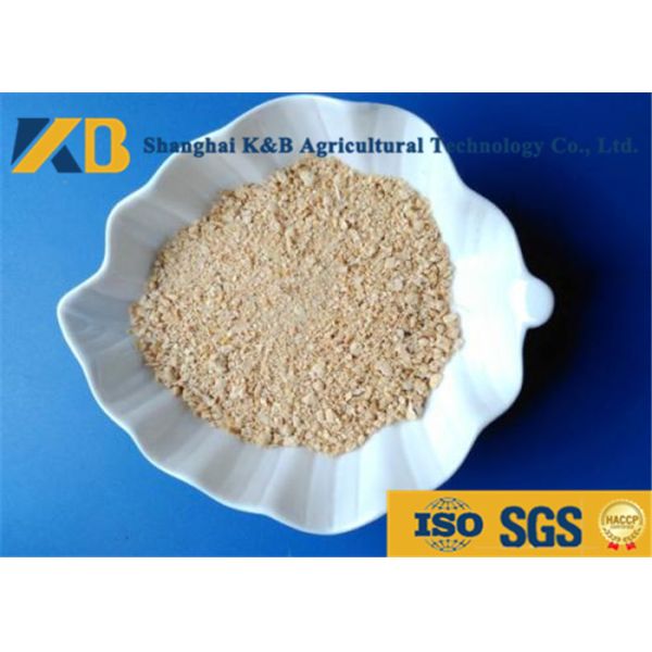 Quality Low Sugar Content Rice Protein Powder , Healthy Protein Additive For Diet Cattle wholesale