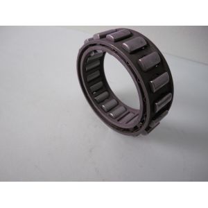 Cheap one way sprag cage Freewheels BWX137222 assembly with sprags and double cages for sale