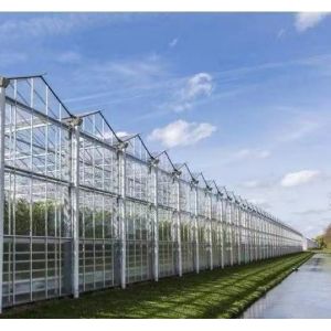 Double Layer Vegetable Planting Greenhouse with Drip Irrigation and Steel
