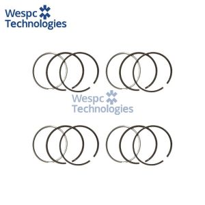 WESPC UPRK0003 piston ring kit for Perkins 1104C and 1104D diesel engines