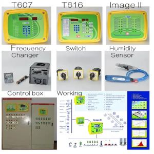 Chicken Coop Automatic Poultry Farm Equipment With Ventilation System