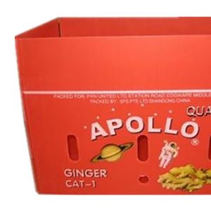 PP Cartonplast Fruit Vegetable Corrugated Boxes For Grapes Broccoli