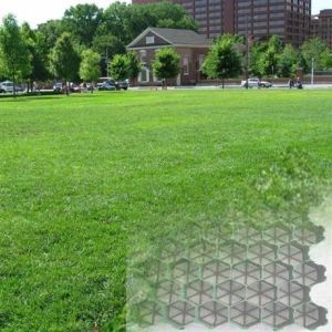 Parking Lot and Driveway HDPE Plastic Grass Grid Paver CE/ISO9001/ISO14001