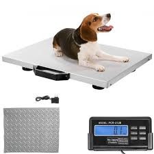 Veterinary Scale Stainless Steel With Indicator Horse Goat Pet Hog Animal