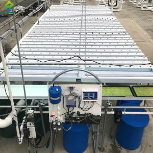 Insecticide Sprayer Irrigation Fertilization System 220V 50HZ Automatic