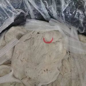 Breathable Healthy Stuffing Sheep Intestine Sausage Casing 18/20mm