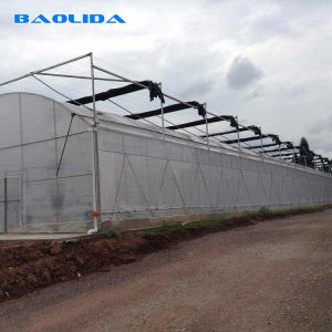 Side Ventilation Clear Multi Span Greenhouse With Outside Shading System