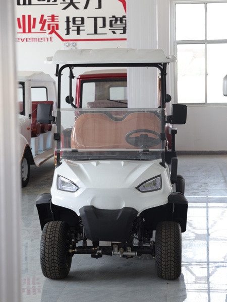 Customized Off Road NEV Golf Cart 48Volt 60v 72v 30km/H