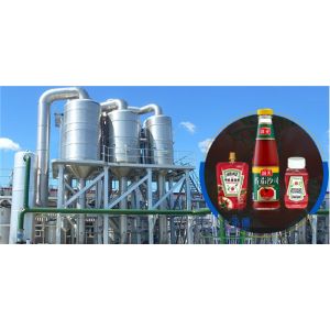 Concentrate Type Food Processing Equipment For Fruit Juice Making
