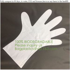 Cheap Biodegradable and compostable PLA gloves,OEM cheap biodegradable kitchen disposable gloves with EN13432 BPI OK compost h for sale