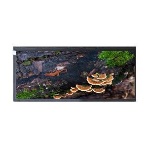 12.3 inches HSD123KPW2-A10 50 pin lcd screen panel display for Automotive