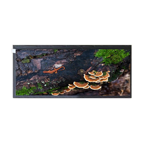 12.3 inches HSD123KPW2-A10 50 pin lcd screen panel display for Automotive