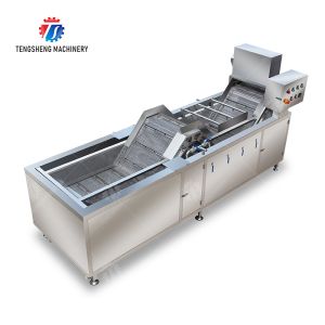customized blanching machine Fruit Orange Vegetable Leaves Vegetables Carrots