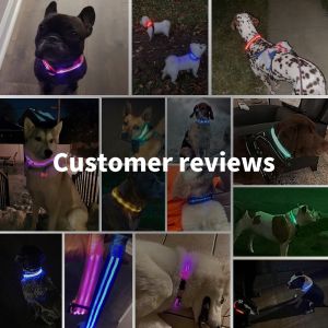 LED Dog Collar Waterproof Flashing Light Up Night Walking Adjustable USB