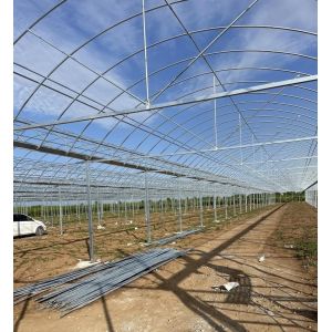 Steel Structure Large Advand Shading Greenhouse for Hydroponics Growingce Large