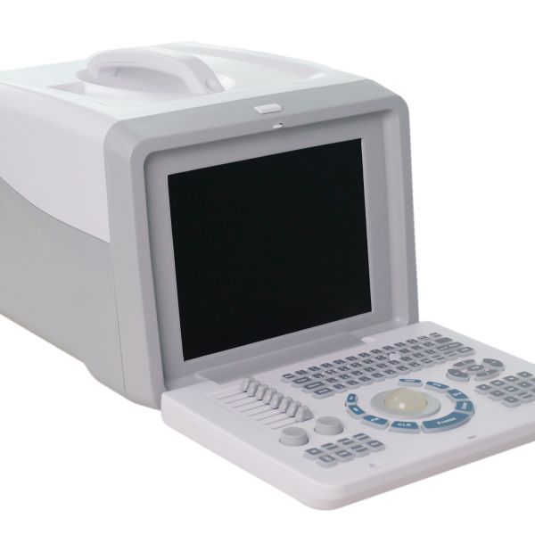 Quality Durable 2D Echo Portable USG Machine For Physiotherapist Convex Linear Probe wholesale