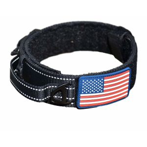 China Double Thick Nylon Dog Collars Easy Cleaning With Brushed Hardware Finish on sale