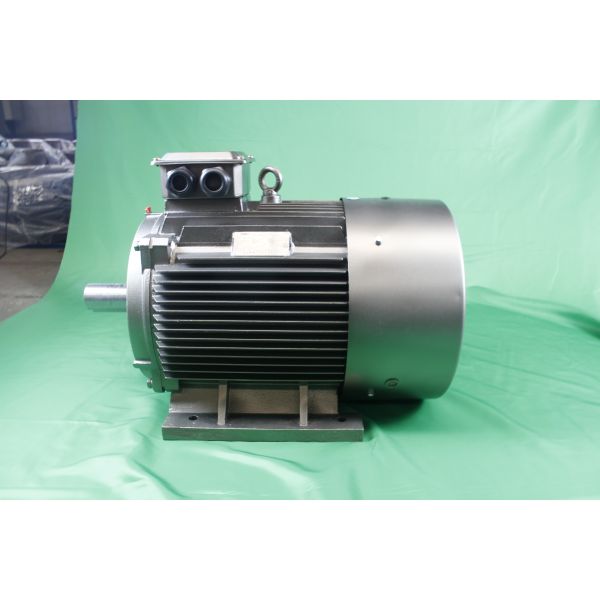 YE3-250M-6-37-380V-IP55-Class F-IM B3 3 Phase Asynchronous Motor LV Variable