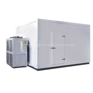 PU Panel Mini Cold Storage Room Walk In Cooler Easy Operate Fan Cooling System For Meat Freezer