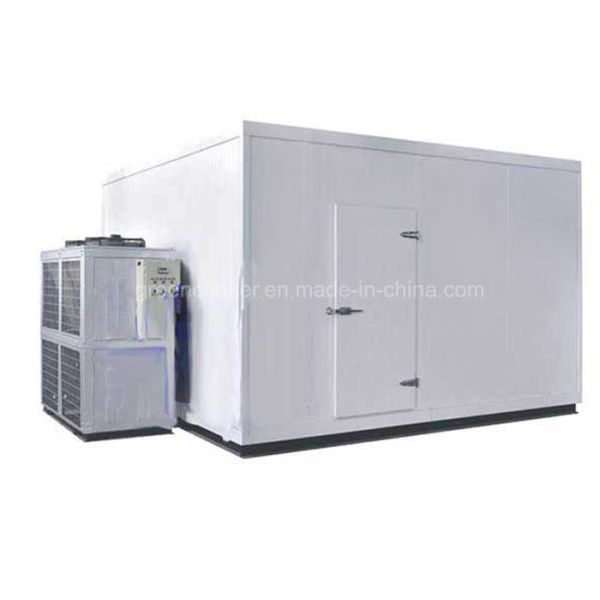 Quality PU Panel Mini Cold Storage Room Walk In Cooler Easy Operate Fan Cooling System For Meat Freezer wholesale