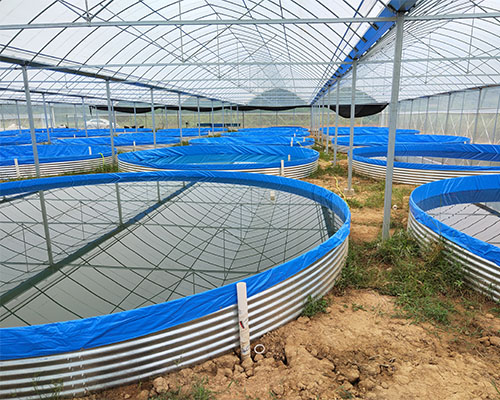 45 Mil HDPE Geomembrane Pond Liner for Fish Farming in Philippines Chemical Resistant