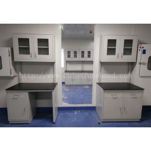 School Science Laboratory / Lab Tables Acid Proof / Lab Workbench Supplier
