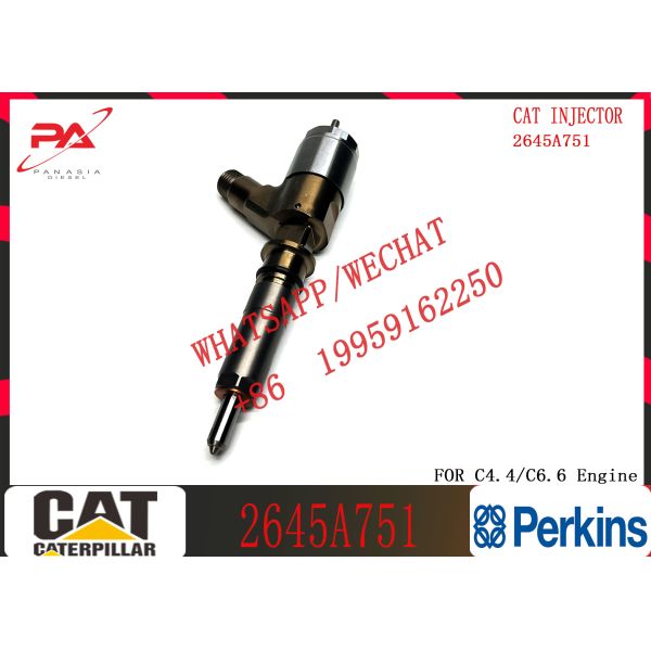 Quality Diesel Fuel Injector 2645A751 320-0680 2645A709 295-9130 382-0480 282-0490 292-3780 For Caterpillar C6 wholesale