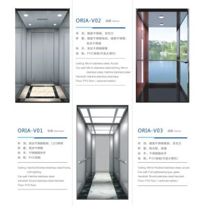 ORIA mordenized home resident home Villa elevator