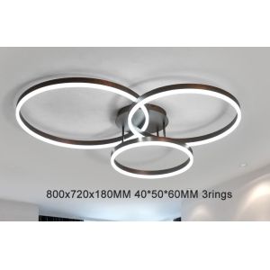 Drop Black ceiling light panels Ring Ceiling lamp For indoor home Lighting (WH