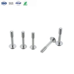 High Precision Custom Stainless Steel Phillips Pan Head Screws with Anti