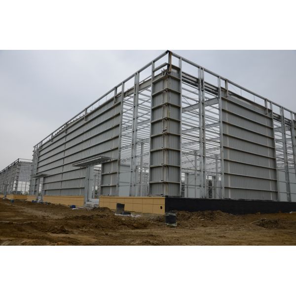 High Strength Steel Structure Building Prefabricated Industrial Steel Structure Exhibition Hall