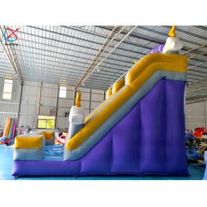 Supplier Commercial Cloud Lightning Inflatable Slide Inflatable Dry Slides