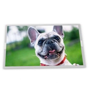 Cheap High Resolution 7.0-Inch A070VW08 V2 TFT LCD Panel 800*480 Touchscreen LCD Module for sale