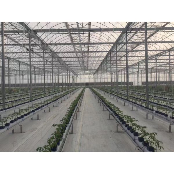 Heat Preservation Dome Style Greenhouse , Plastic Film Greenhouse With Cooling System