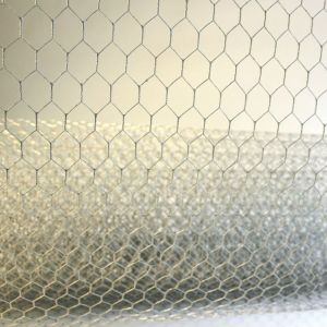 1/4" Hexagonal Wire Mesh Twisted 1/2'' 3/8'' 3/4'' Opening Size Cages Applicatio