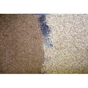 1 Chute Grain Wheat Sorting Machine 5400 Pixel Color Sorter Grain Cleaner