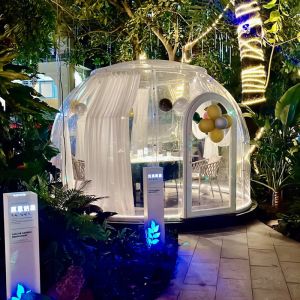 Cheap PC Dome House Glamping Bubble Tent For Outdoor Camping And Backyard Parties for sale