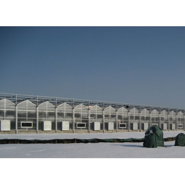 Quality Beautiful Multiwall Polycarbonate Greenhouse Large Lighting Area Uniform Lighting wholesale