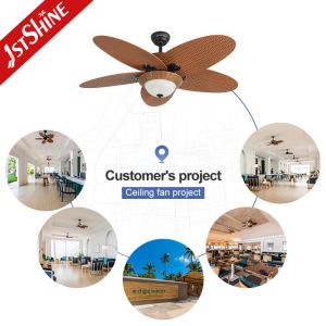 Fancy Lighting and Traditional Style LED Ceiling Fan with Remote Modern Design