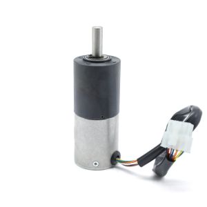 High Torque Bldc Motor Reduction Gearbox Lawn Mower Bldc Gear Motor 36mm
