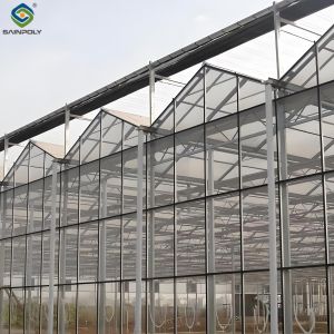 China Modern Venlo Greenhouse Farming Commercial Glass Greenhouse With Steel Frame on sale