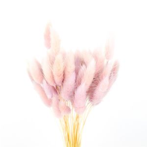 Real Touch Beautiful Dried Flowers Rabbit Tail Grass Preserved Lagurus Ovatus