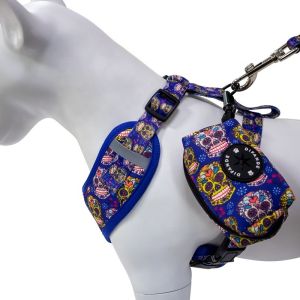ultra Comfort Collar Leash Harness Set