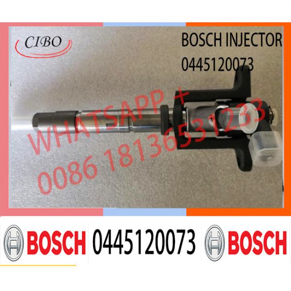 Common Rail Injector Nozzle DLLA152P1507/ 0433171929 for bosch 3.5 injector